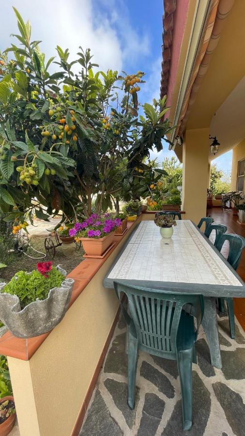 La Mansarda Bed & Breakfast Biancareddu Luaran gambar