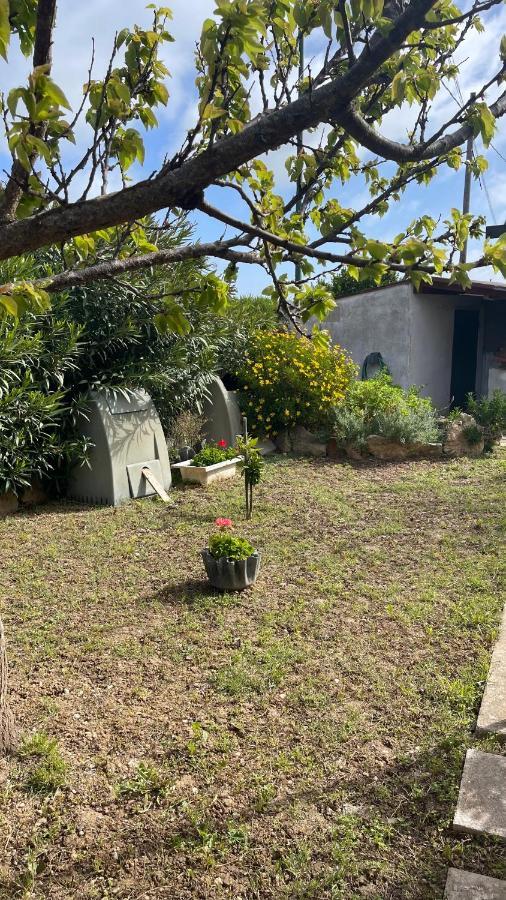 La Mansarda Bed & Breakfast Biancareddu Luaran gambar
